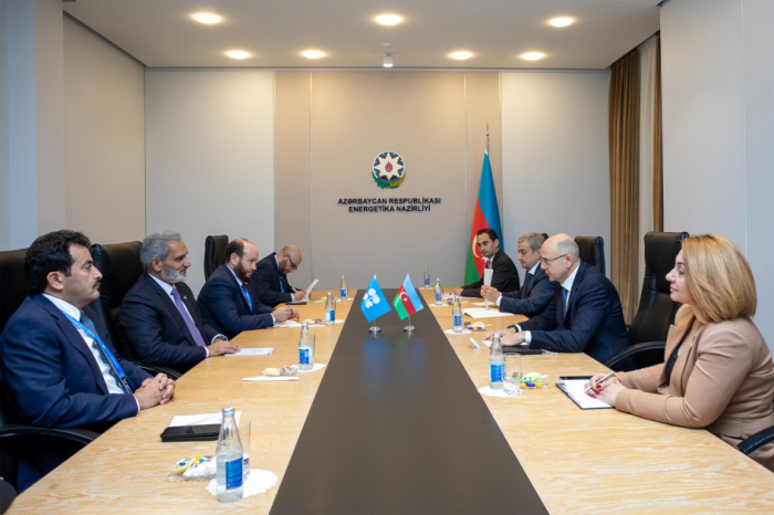 Azerbaijan’s energy minister meets with OPEC Secretary General