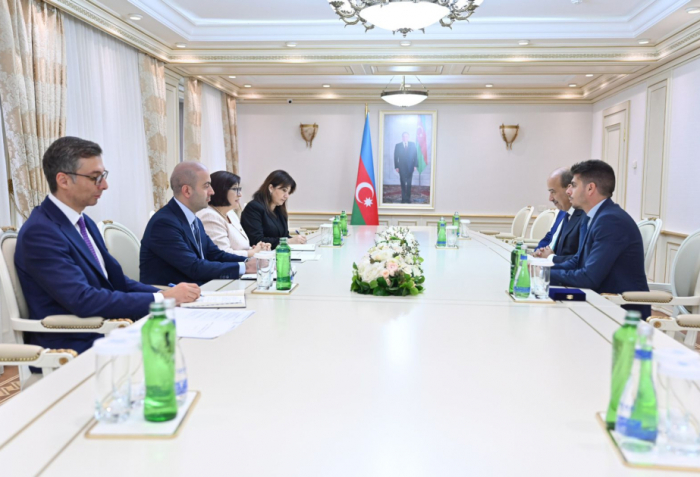 President of Parliamentary Assembly of the Mediterranean briefed on Azerbaijan’s green energy projects