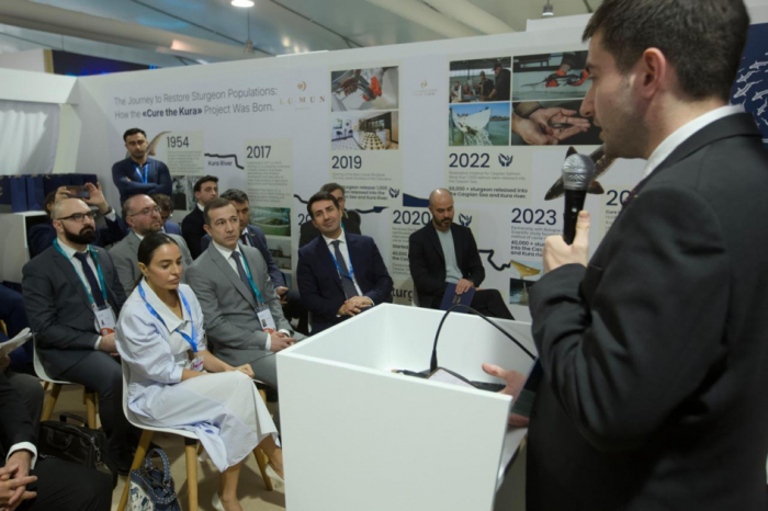 Leyla Aliyeva participates in juvenile fish release event at COP29 Green Zone