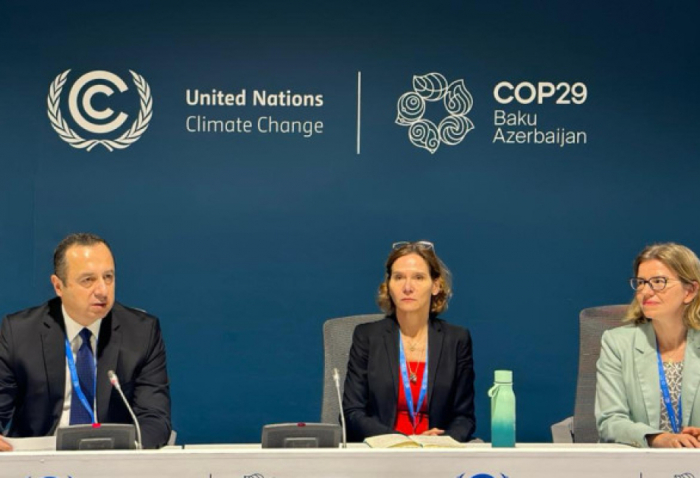   Side event on judicial perspectives on climate litigation held within COP29  