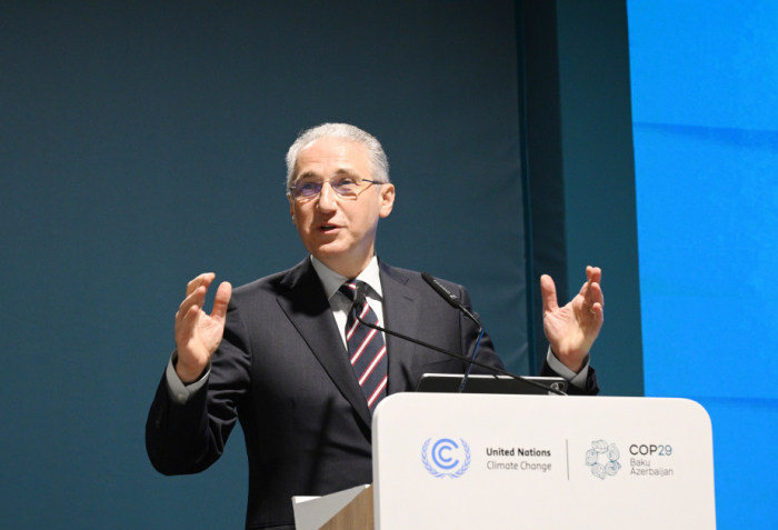 Tourism sector is also vulnerable to impact of climate change: COP29 president