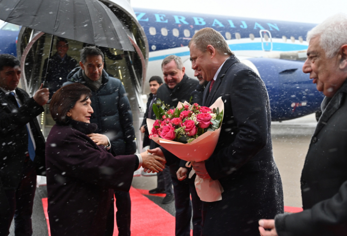   Azerbaijani Parliament speaker visits Russia  