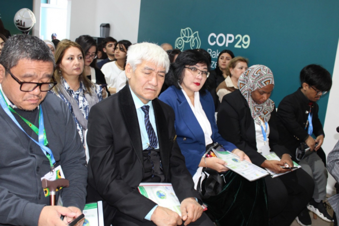 Panel discussion on inclusion for green world held as part COP29