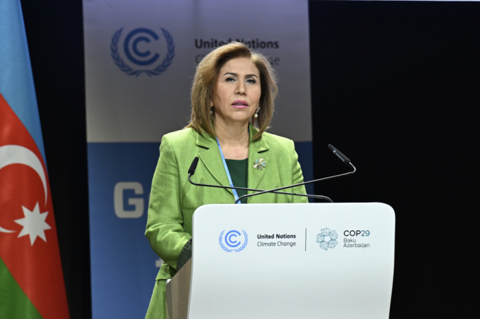       COP29 I    “Şəffaflıqda gender” tədbiri keçirilib   