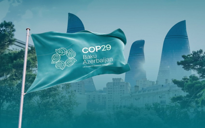 "Young Diplomats" congratulate Azerbaijan on successful hosting of COP29