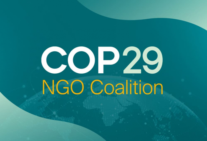   COP29 NGO Coalition issues statement on “Baku Breakthrough”.  