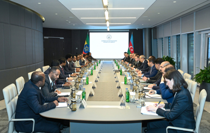 Azerbaijan, Ethiopia explore prospects for partnership in trade, investment & green energy