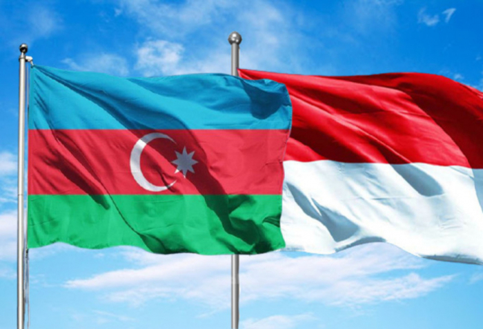 Azerbaijan, Indonesia waive visa requirement for diplomatic and service passport holders