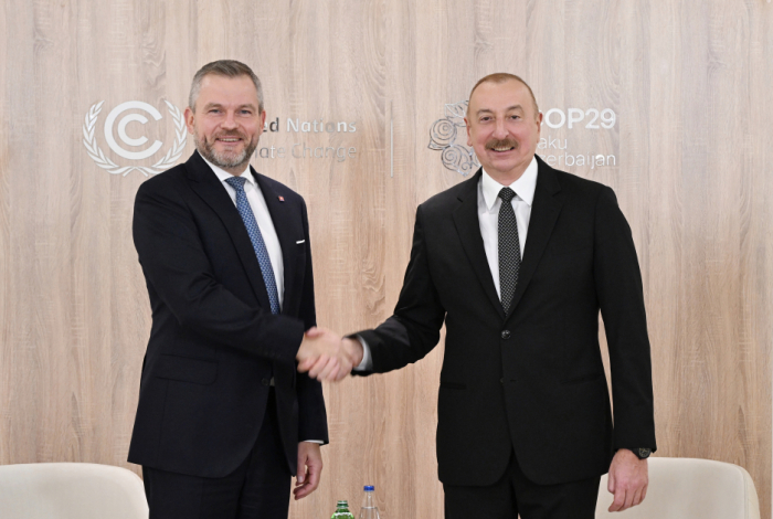   Presidents of Azerbaijan, Slovakia meet in Baku  