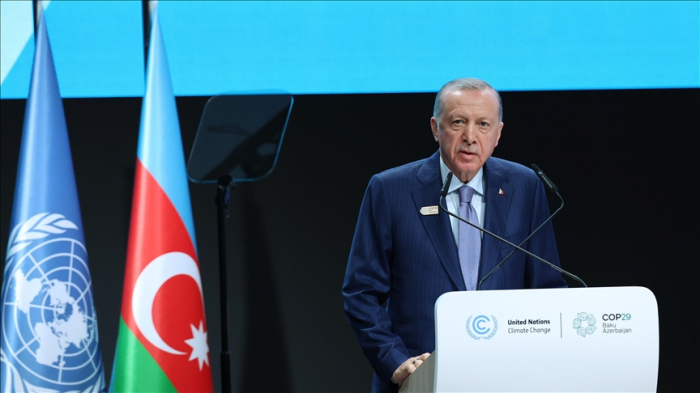   Türkiye bids to host COP31 in 2026 - Erdogan  