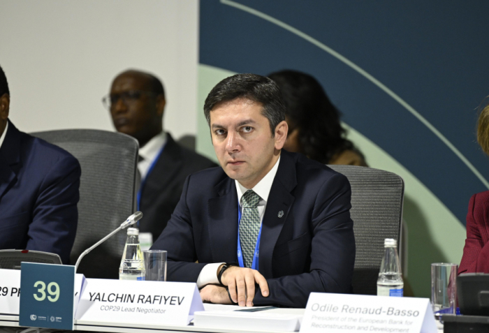 Yalchin Rafiyev: COP29 is a demonstration of combining our collective effort to combat climate crisis