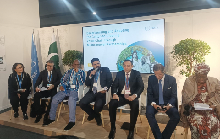 Pakistani pavilion at COP29 hosts high-level event on decarbonizing