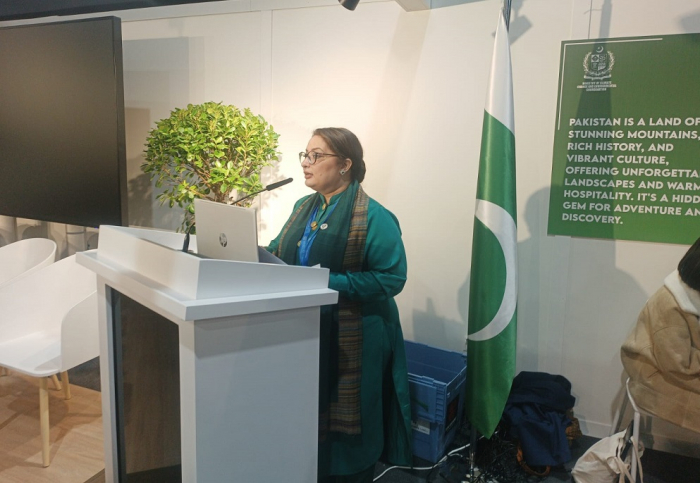 Youth leadership crucial for global climate action, Pakistani PM’s climate aide says at COP29