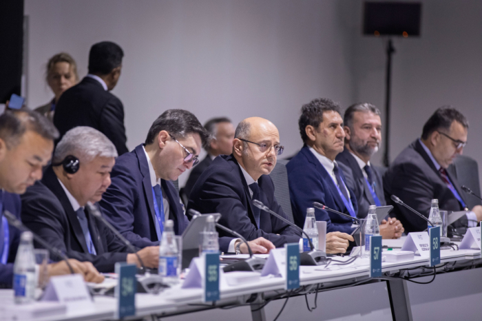   Foro de inversión sobre la transición energética se celebra en el marco de la COP29  