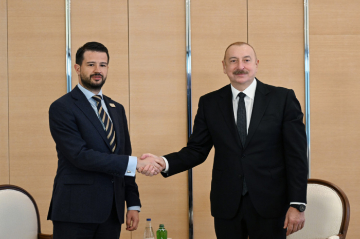  Presidente Ilham Aliyev se reúne con el presidente de Montenegro 