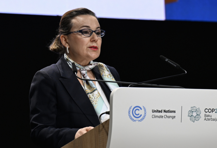   Everyone must contribute to climate action - UNFCCC deputy executive secretary  