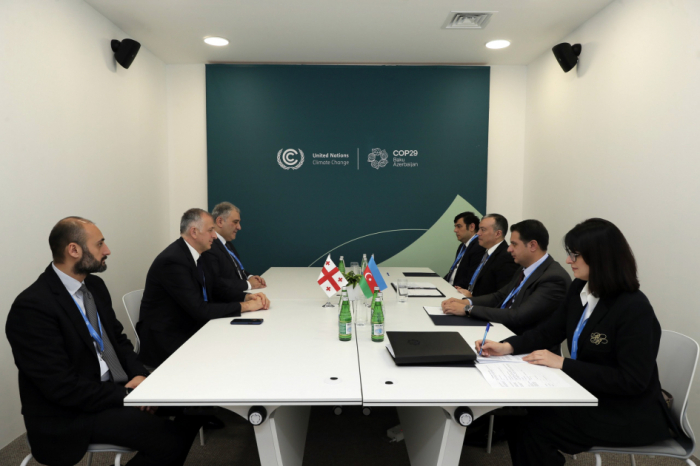 Azerbaijan, Georgia expand cooperation in labor and social protection