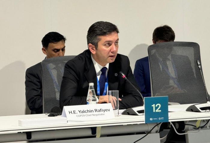  COP29 Lead Negotiator emphasizes Azerbaijan