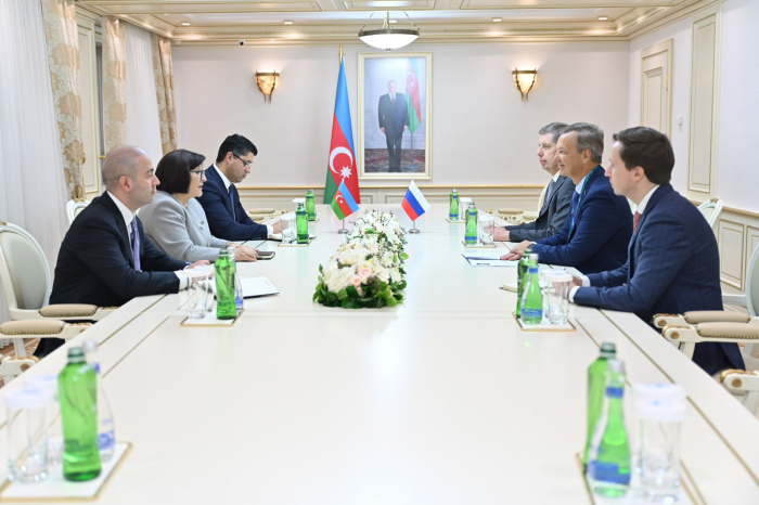   Speaker of Azerbaijani Parliament meets with first deputy speaker of Federation Council of Russian Federation   