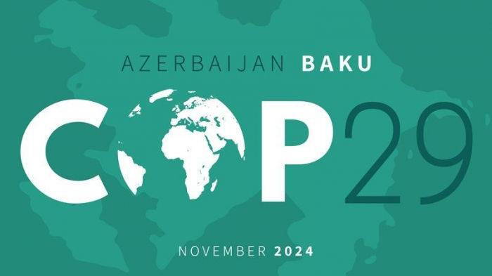 COP29 çərçivəsində Davamlı İnnovasiya Forumu keçiriləcək