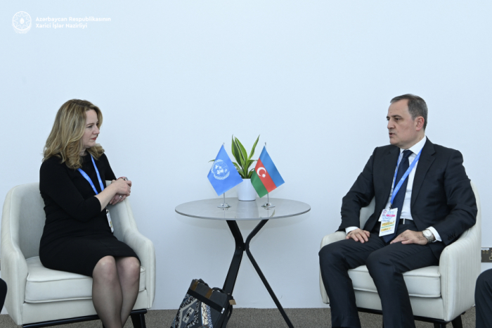   FM Bayramov meets with IOM Director General  