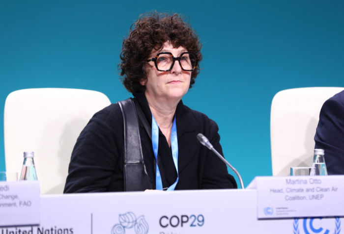   Reducing methane emissions should be treated as an urgent climate priority - Martina Otto  