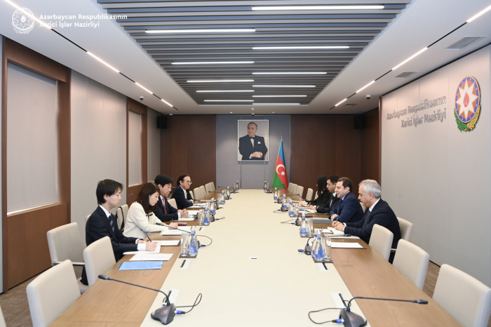 Azerbaijani and Japanese officials discuss various aspects of cooperation 