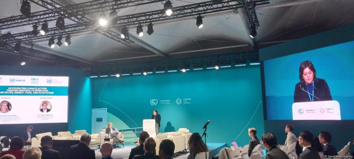    COP29 I  COP29-da çərçivəsində iqlim tədbirlərinin sürətləndirilməsinə dair panel müzakirəsi keçirilir   