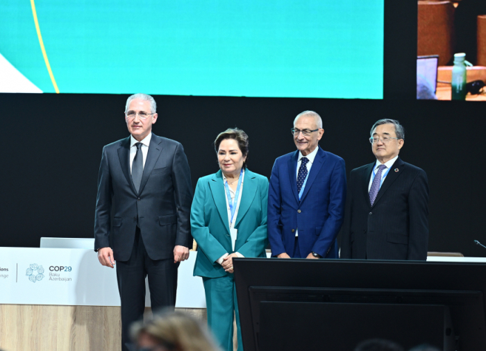 Azerbaijan, China and US co-host plenary session on greenhouse gases