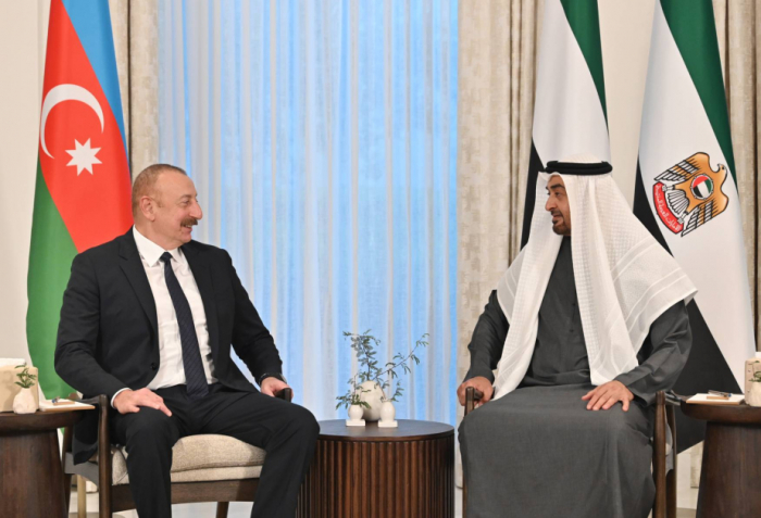   President: Azerbaijan-UAE political dialogue provides a strong foundation for expanding cooperation  