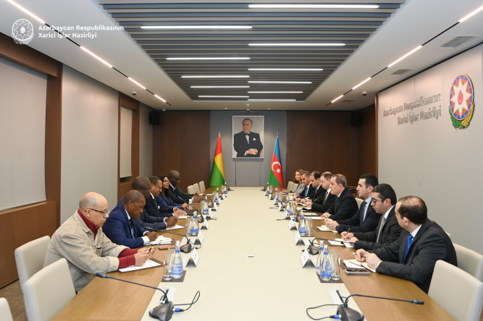 Azerbaijani FM meets his counterpart from Guinea-Bissau