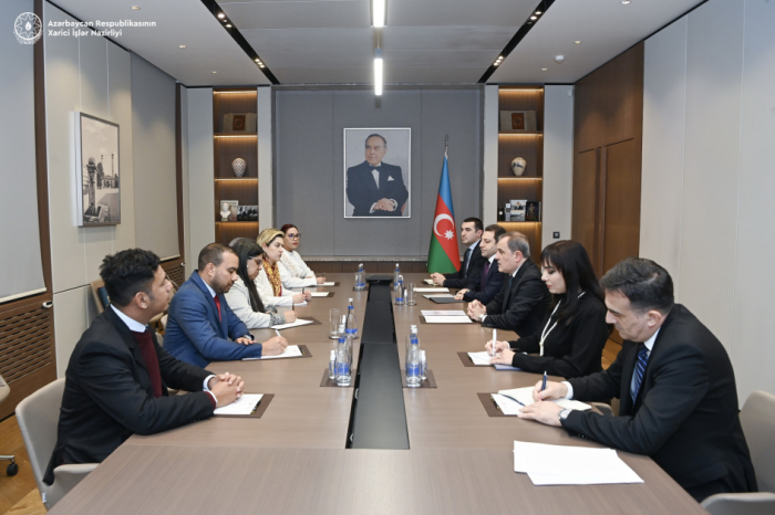 Foreign Ministers of Azerbaijan and Venezuela discuss political ties