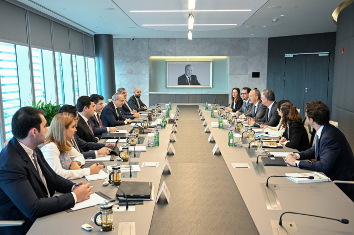   Ongoing projects between Azerbaijan and OECD discussed   