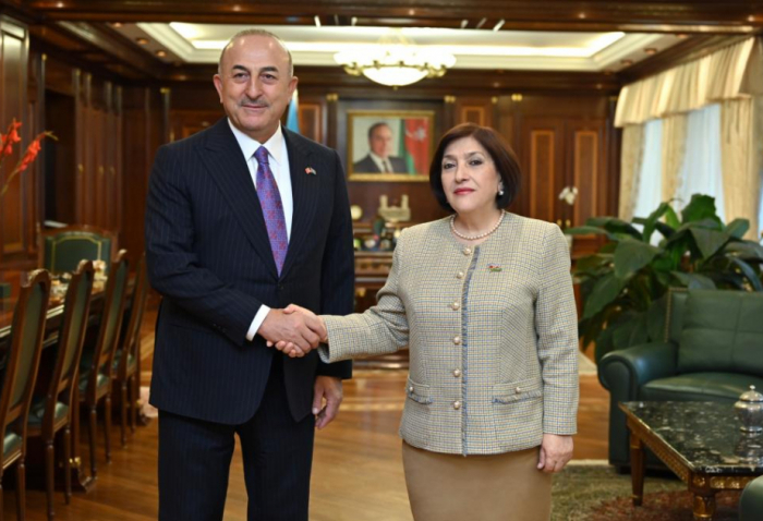 Azerbaijan, Türkiye enjoy high-level interparliamentary cooperation