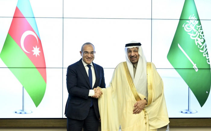   Azerbaijan and Saudi Arabia discuss promotion of investments  