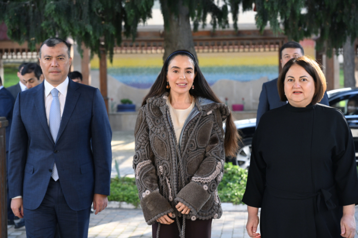   Vizepräsidentin der Heydar Aliyev-Stiftung besucht soziale Einrichtungen für Behinderte  