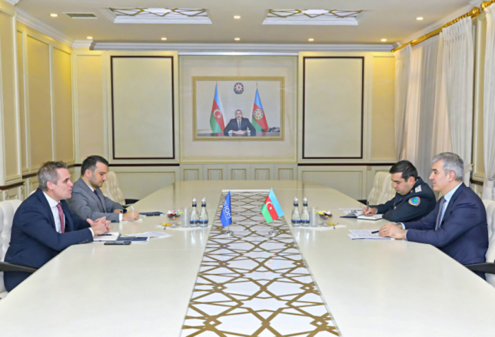 Azerbaijan, International Organization for Migration discuss preparations for ministerial conference in Baku