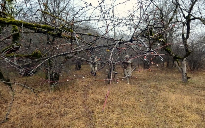 Training session held for Azerbaijani reservists - Azerbaijan MoD