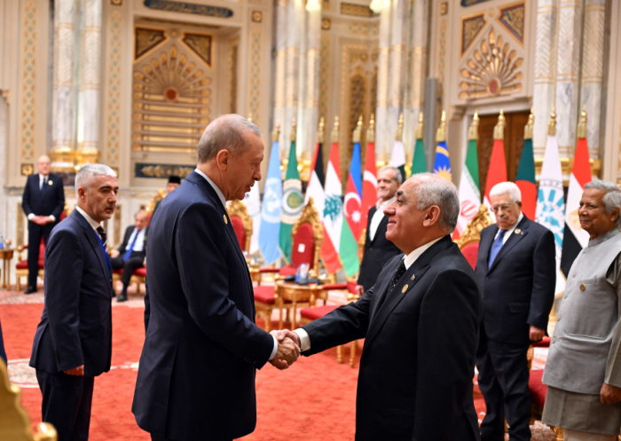 Azerbaijani Prime Minister holds series of meetings during 11th Summit of D-8 Organization for Economic Cooperation