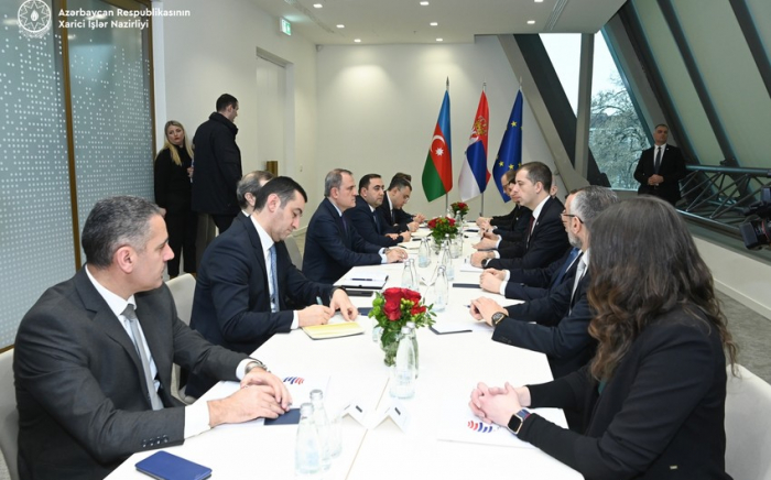   Azerbaijani FM informs Serbian counterpart about Baku-Yerevan peace process  