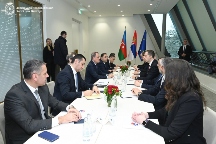   Azerbaijan, Serbia discuss strategic partnership  