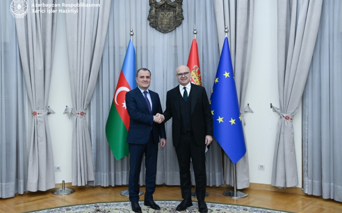 Azerbaijani FM meets with Serbian PM in Belgrade