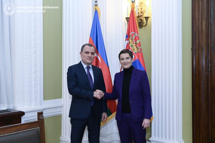 Azerbaijan, Serbia discuss prospects of strategic partnership