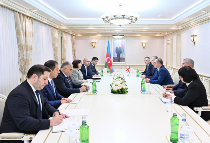 Azerbaijan, Georgia discuss interparliamentary relations