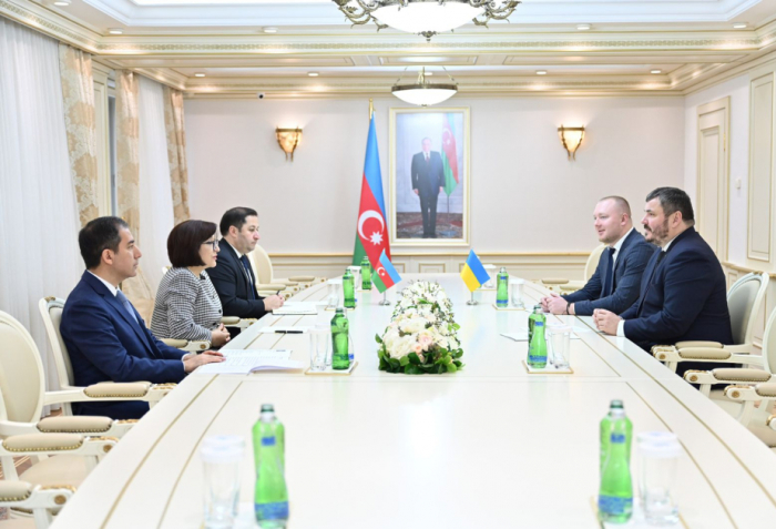 Speaker of Azerbaijan’s Parliament discusses bilateral ties with Ukrainian ambassador