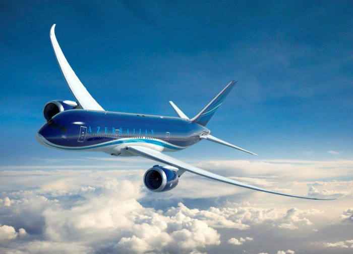   Azerbaijan Airlines suspends flights to several Russian cities  