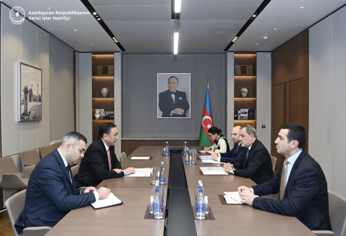   Azerbaijani FM meets with OTS Secretary General  