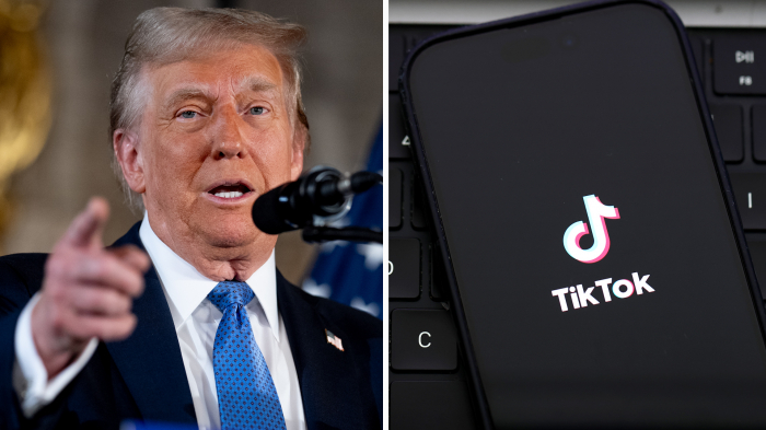 Trump urges Supreme Court to delay TikTok ban