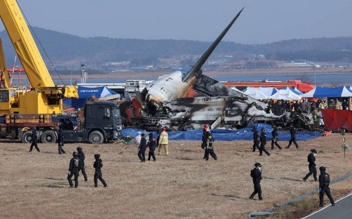 S. Korea to inspect all Boeing 737-800 planes following passenger jet crash