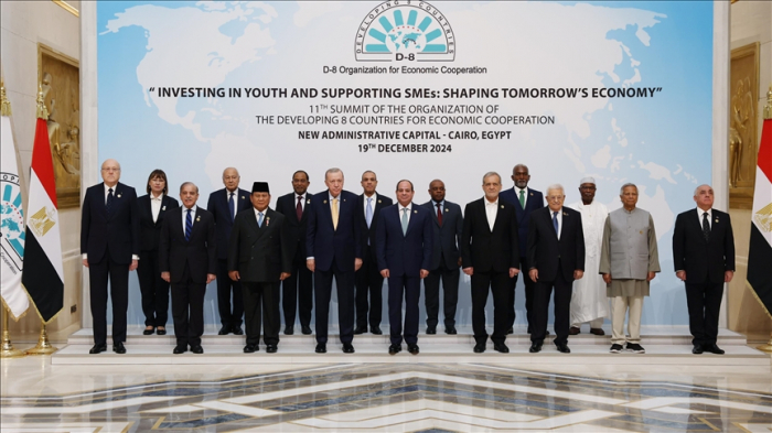   Azerbaijani PM attends D-8 summit in Egypt  